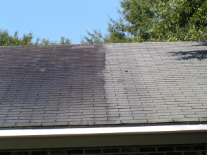 residential roof cleaning